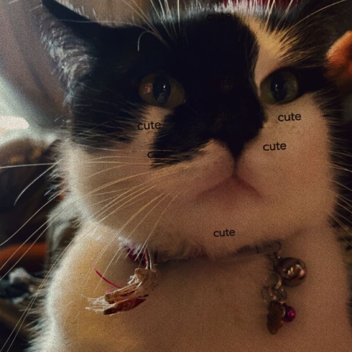 Profile Picture of jasmine (@.jasminedoo) on Tiktok