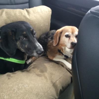 Michael Vandale - Twitter Profile Picture of Michael Vandale (@michael_vandale) on Twitter