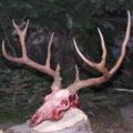 Profile Picture of Matthew Bunnell (@mattyb10) on Pinterest