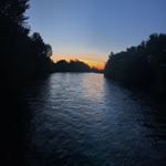 Profile Picture of Savannah Davison (@savvy_writes) on Instagram