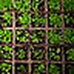 Profile Picture of Sung Hoon Chung (@ppolly) on Flickr