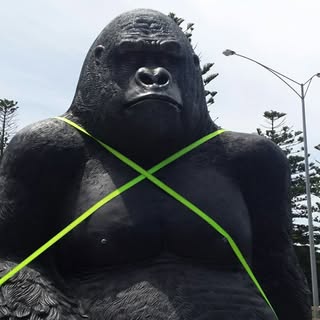 Profile Picture of craig mcgee (@mcgee.craig) on Instagram
