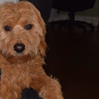 Profile Picture of Chris Branco (@chris-branco-7) on Quora