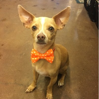 Profile Picture of Trixie Mae Go (@TrixieMaeG2G) on Twitter