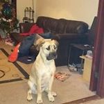 Profile Picture of Steve Dungey (@stevedungey) on Instagram