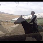 Profile Picture of Campbell And Skye (@soleil__and__jack) on Instagram