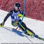 Profile Picture of David Frisk (@davidfrisky) on Instagram