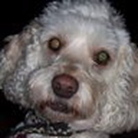 Profile Picture of Lucy Knox (@lucy-knox-10) on Quora