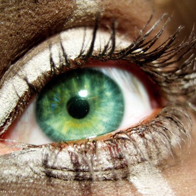 Profile Picture of Fazal Mahmood (@fazalmahmood01) on Twitter