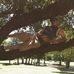 Profile Picture of Stuart Holcomb (@stuart.holcomb.1) on Facebook