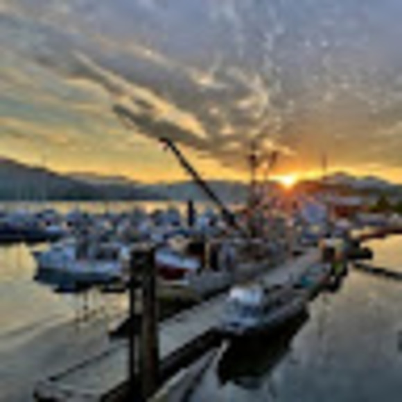 Profile Picture of Jared Robinson (@jfbrobinson) on Poshmark