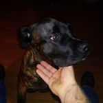 Profile Picture of jesse baggett (@jesserobertbaggett32) on Instagram