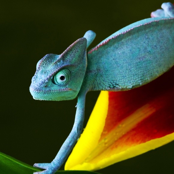 Profile Picture of Jaxon Repult (@jaxonrepult) on Poshmark