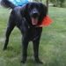 Profile Picture of Robin Kerwin (@rskerwin) on Pinterest