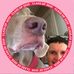 Profile Picture of Cassandra Fulmer (@Cassandra-Fulmer) on Facebook