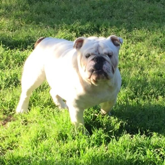 Johnny Sotelo - Poshmark Profile Picture of Johnny Sotelo (@johnnysotelo01) on Poshmark