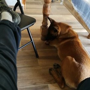 Profile Picture of Benjamin Amiot (@benjamin_amiot) on Twitter