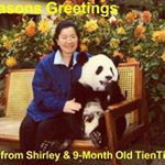 Profile Photo of Shirley Chao (@shirley.chao.5013) on Instagram