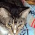 Profile Picture of Clara McDowell (@clara.mcdowell.71) on Facebook