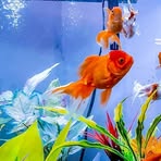 Profile Picture of Gustavo Hermida (@gustavo.hermida.560) on Facebook