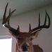 Profile Picture of David Flocker (@david.flocker.5) on Facebook
