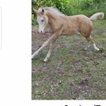 Profile Picture of Nancy Mosey Overdahl (@nancymoseyoverdahl) on Instagram