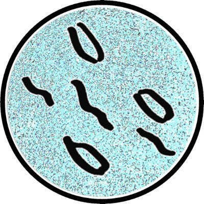 Profile Picture of Matthew Walpole (@WalpoleMatthew) on Twitter