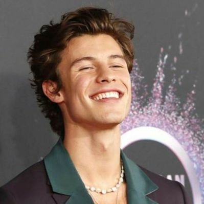 Profile Picture of SHAWN FOLLOW ME ♡ (@mendesarmy_fr) on Twitter