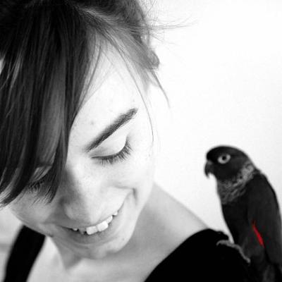 Profile Picture of Pamela Dixon (@pixiedixon_) on Twitter