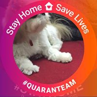 Profile Picture of Rick Doty (@rick-doty-7) on Quora