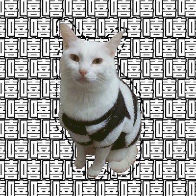 Profile Picture of Mavis Huang (@kam1ko0901) on Twitter