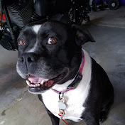 Profile Picture of Brent Gile (@brentgile9987) on Youtube