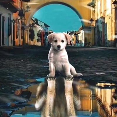 Profile Picture of Jennifer Pepe (@JenniferPepe16) on Twitter