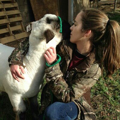 Profile Picture of Kate Heller (@6daceb77ab814ec) on Twitter