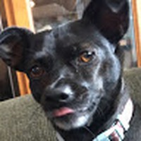 Bailey Boyer - Quora Profile Picture of Bailey Boyer (@bailey-boyer-15) on Quora