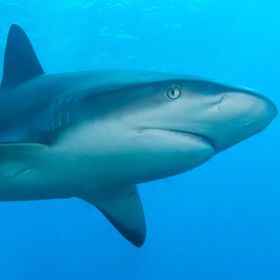 Profile Picture of Brianna Stankiewicz (@itsbrisnewemail) on Pinterest