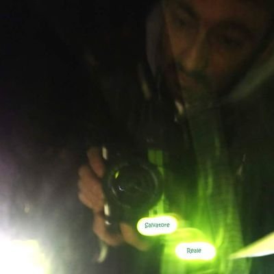 Profile Picture of Salvatore Reale (@SalvatoreReal13) on Twitter
