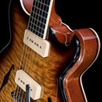 Profile Picture of Todd D'Agostino (@laroseguitars) on Instagram