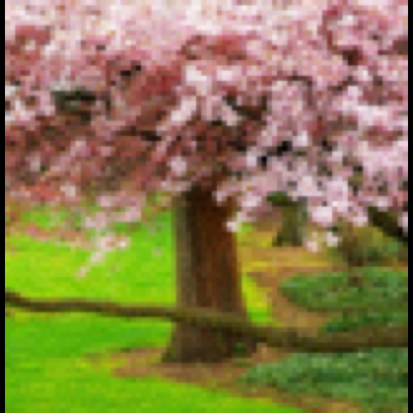 Profile Picture of Bree Berninger (@mommy3060810) on Poshmark