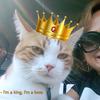 Profile Picture of Martha Moreno (@@marthamoreno439) on Tiktok