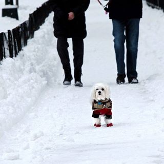 Profile Picture of Window Down (@Window-Down) on Facebook