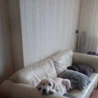 Profile Picture of Corrie Hasenoot (@chasenoot) on Pinterest