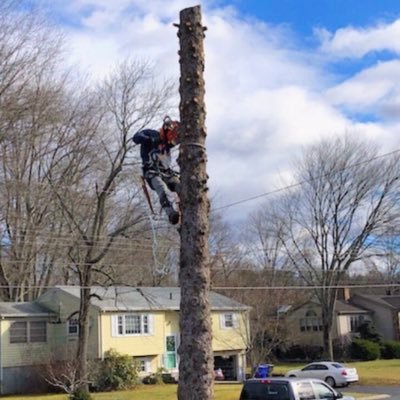 Profile Picture of David DeGrand (@daviddegrand06) on Twitter