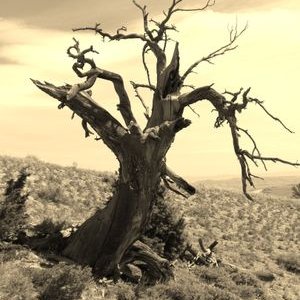 Profile Picture of Scott S (@chet9444) on Twitter