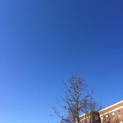 Profile Picture of Joseph Smith (@LeppertJoseph) on Twitter