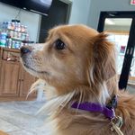 Profile Picture of Lori Mckeown (@codys_journey_22) on Instagram