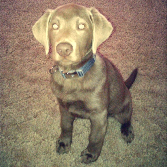 Profile Picture of Belinda Wiedner (@wiedner) on Poshmark