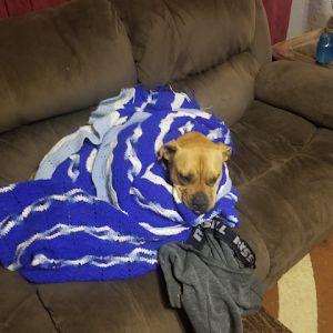 Profile Picture of Jim Pierce (@jim.pierce2) on Tiktok