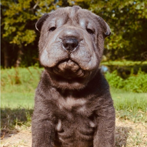 Profile Picture of Jonathan Hogan (@jonathanhogan63) on Poshmark