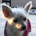 Profile Picture of Ruby Logan-Pritchard (@rloganpritchard) on Pinterest